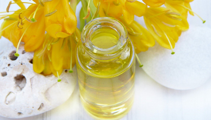 jojoba