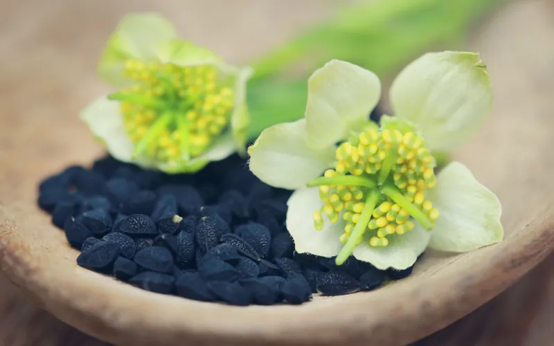 Les étonnants pouvoirs de la nigelle