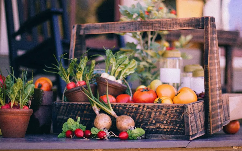 Fruits et légumes : à chacun sa saison