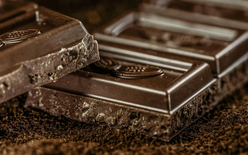 Pourquoi faut-il manger du chocolat ?