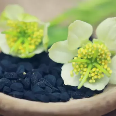 Les étonnants pouvoirs de la nigelle